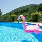 Pet Friendly In Semesterbostad *