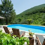 Pet Friendly In