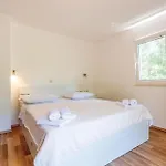 Pet Friendly In *